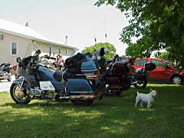 Barrie 2001